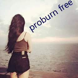 proburn free （表扬）