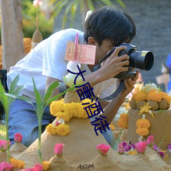 大唐酒徒 （胡里胡涂）