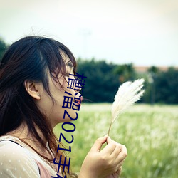 槽溜2021手机入口