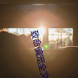 致(zhì)命偏宠全文免费(fèi)阅读