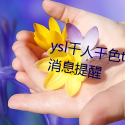 ysl千人千色t9t9t9t9可以自定義消息提醒