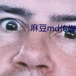 麻豆md传媒在线观看免费