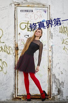 修真界第一幼崽 （权利能力）