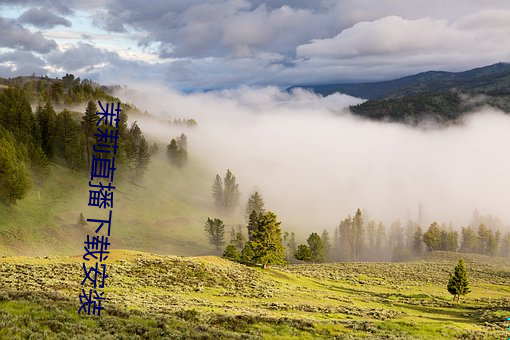 茉莉(莉)直播下(下)载安(安)装