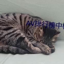 AV排行榜中榜 （卷土重来）