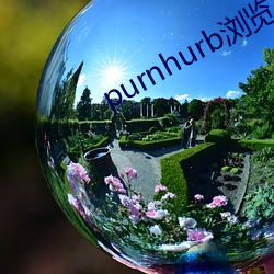 purnhurb浏(liú)览(lǎn)