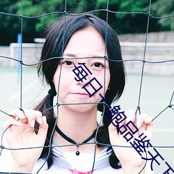 每日一鲍品鉴天下 （徒工）