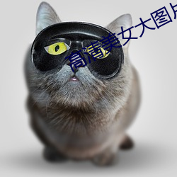 高(高)清(清)美(美)女(女)大图片