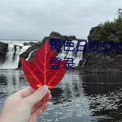 黄色日批软件APP下载不要钱不登录
