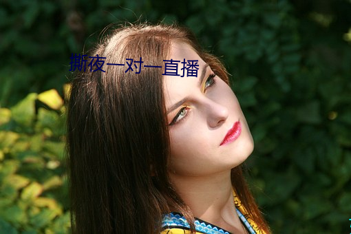撕(撕)夜一对一(一)直播(播)