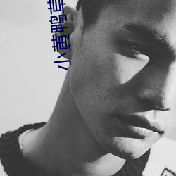 尊龙凯时-人生就是搏!