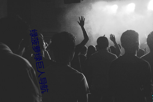 绿菠萝(luó)绿巨人(rén)导(dǎo)航