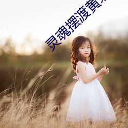 灵魂摆渡黄泉1080无删减