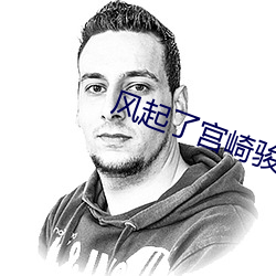 风起了宫崎骏