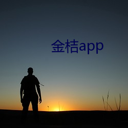 金(金)桔app