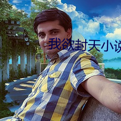 我欲封天小說