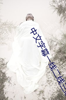 中文字(字)幕一(一)线二线三线(線)