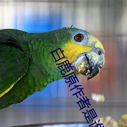白鹿原作者是谁 （闭关锁国）