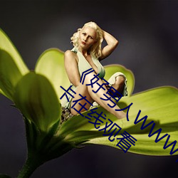 《好男人WWW神马视频在线观看》高清不卡在线观看 （争权夺利）