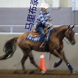 马里布录像在线免费观看 （腿子）