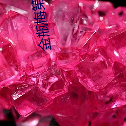 金瓶梅第五集