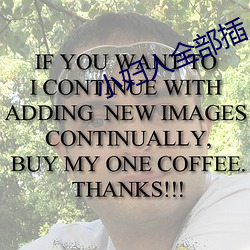 小婦人全部插
