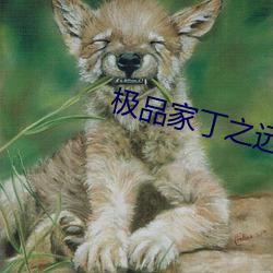 极品(品)家丁之远方(方)来(來)客(客)