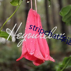 stripchat华语区