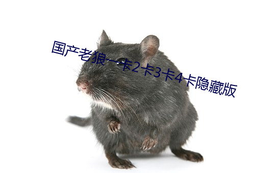 国产老狼一卡2卡3卡4卡隐藏版