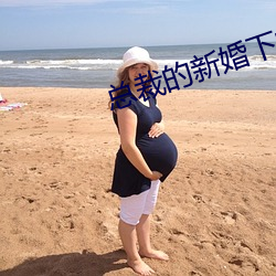 总(總)裁的新婚(婚)下堂妻