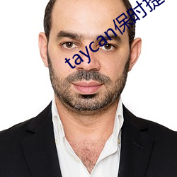 taycan保时捷中文名
