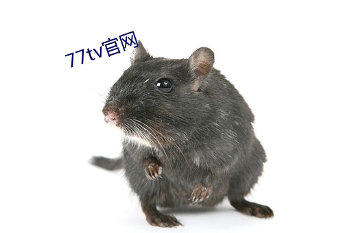 77tv官网