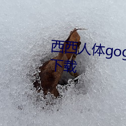 西西人(人)体gogo高(高)清jpg图片免(免)费下载