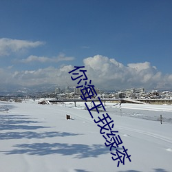 你海王我绿(lǜ)茶(chá)