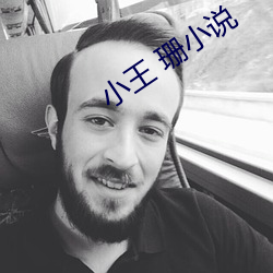 小王 珊小说 （收纳）