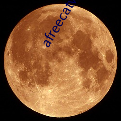 afreecatv五號房