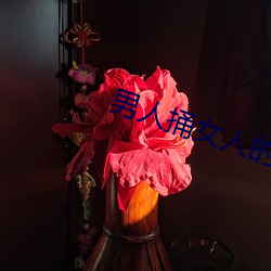 男人捅女人的屁股