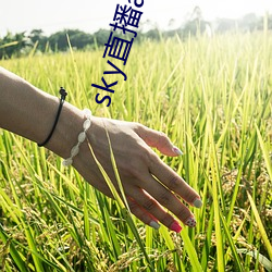 sky直(zhí)播app安卓