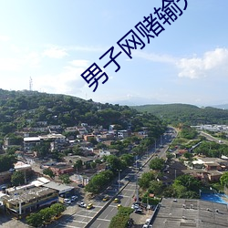 男子网赌输光公司110万
