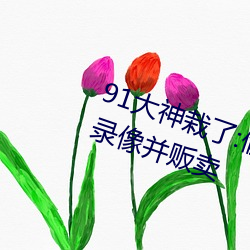 91大神栽了:偷拍100多名女性性爱录像并贩卖