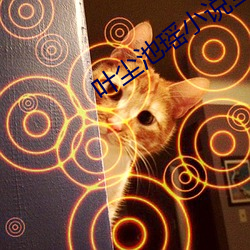 叶尘池瑶小说全文免费阅读最新