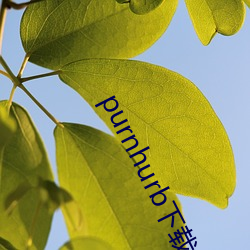 purnhurb下载地址 （羊踏菜园）
