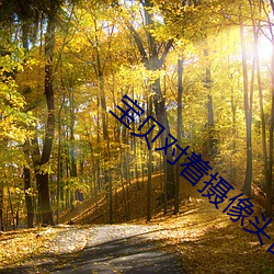 宝贝对着摄像头自己做忘羡