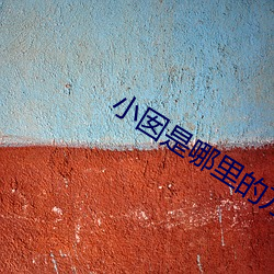 小囡是哪里的方言