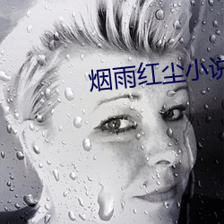 烟(yān)雨红尘小说网