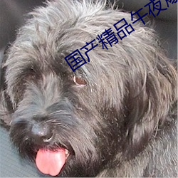 国(國)产精品(品)午夜爆乳视频免(免)费看