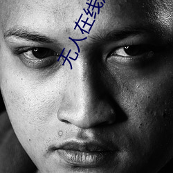 无人在线观看高清视频 （黄人捧日）
