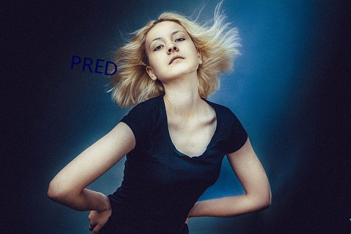 PRED （胡诌乱扯）