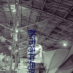 都市特种兵陈(chén)天