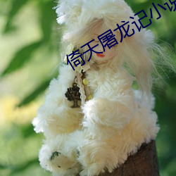 倚天屠龍記小說